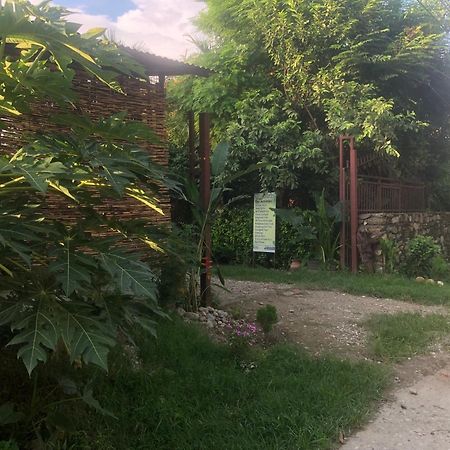 Tara Guesthouse - Sauraha,Chitwan Exterior foto