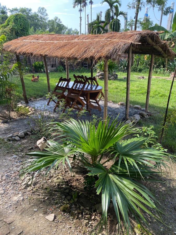 Tara Guesthouse - Sauraha,Chitwan Exterior foto