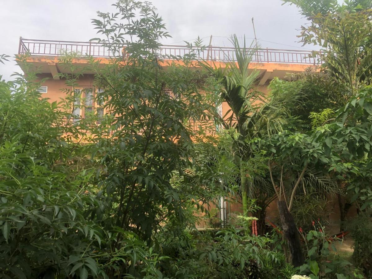 Tara Guesthouse - Sauraha,Chitwan Exterior foto