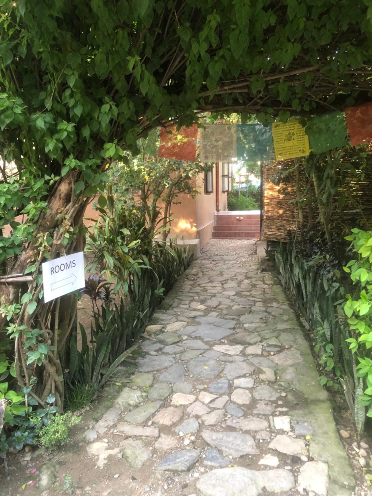 Tara Guesthouse - Sauraha,Chitwan Exterior foto
